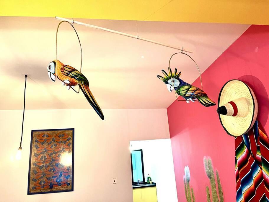 Apartment In The Touristic Heart Of מקסיקו סיטי מראה חיצוני תמונה